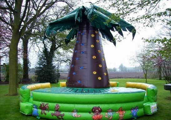 chateau gonflable : escalade palmier